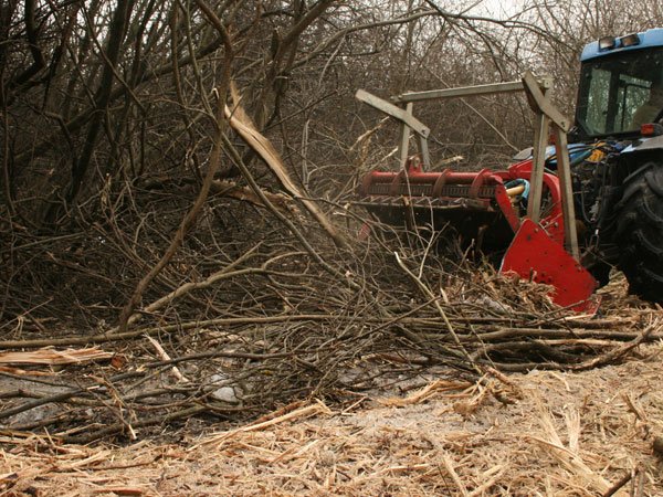 2020-06-02-16.31.54mulcher-miniforst-6.jpg