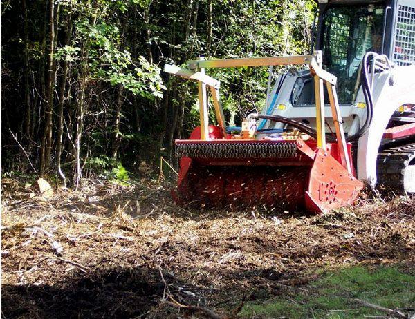 2020-06-04-23.07.24img-files-04-midiforst-skid-steer-2-700.jpg