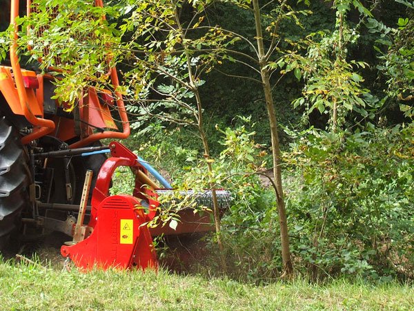 2020-06-05-14.14.50img-files-10-forestry-mulchers-miniforst-2-700.jpg